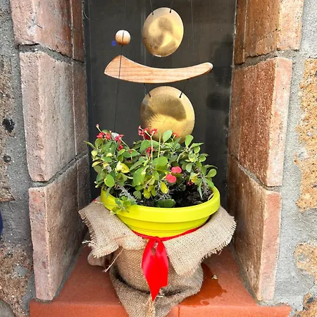 Casa de hóspedes Apanu Viterbo